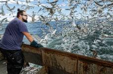 Patrice OLIVIER - PATRICE OLIVIER