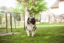 Savannah RIONDET - 0poilphotographie