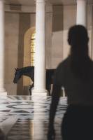 Paul PINTARD - PINTARD PHOTOGRAPHIE