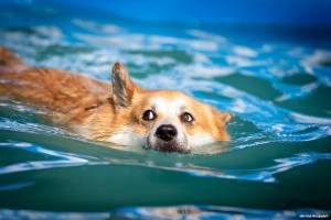 Julien SESIA - Julien-Sésia-Photographie©