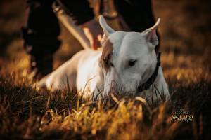 Jérémie MOLARO - F & F PHOTOGRAPHIE