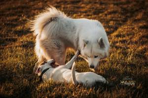 Jérémie MOLARO - F & F PHOTOGRAPHIE